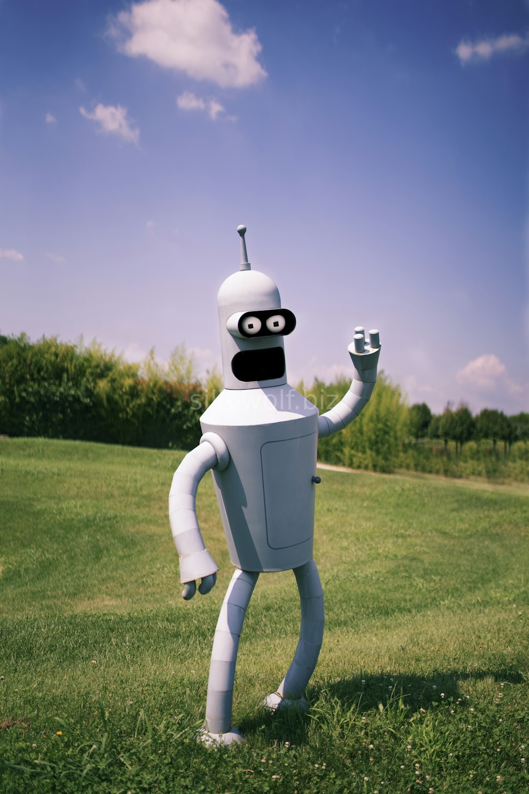 Character Animation
