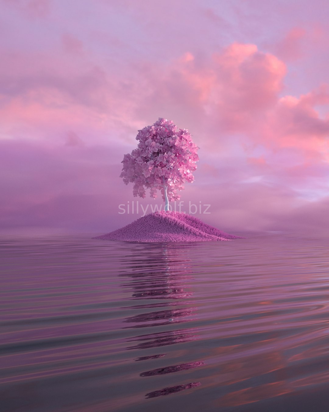 3D Motion