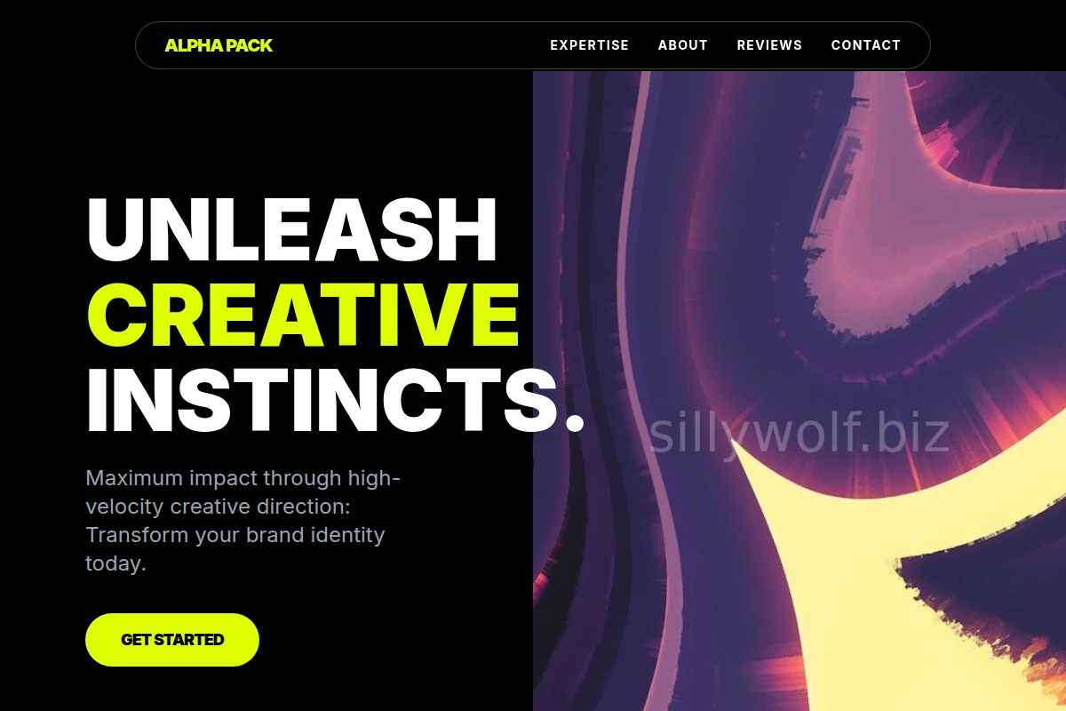 Vivid Creative Direction